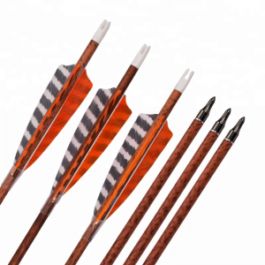 Elong Outdoor 120077  ID6.2mm SP400 Red Wood Carbon Arrow With Feather Archery Shooting
