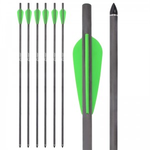 Elong Outdoor 113003-02 Airgun 26.37inch Carbon Bolt Plastic Vane Archery Crossbow Arrow Shooting