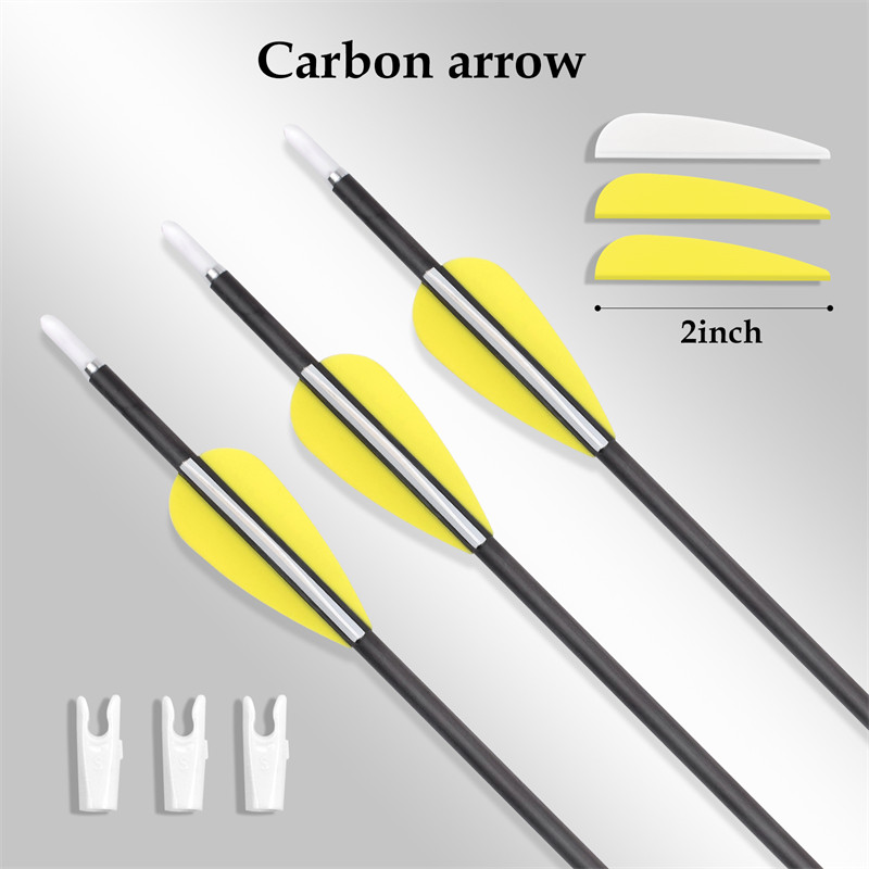 3.2mm pure carbon arrow