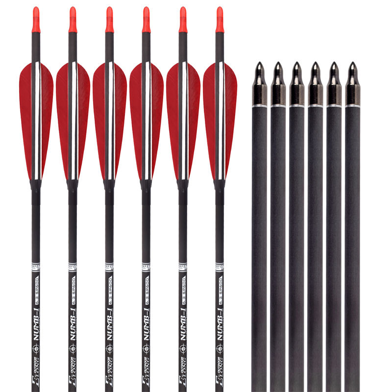 Elong Carbon Arrows